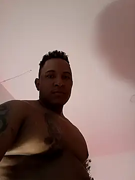 ARTHUR_MINI webcam