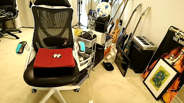 Check-Mate webcam