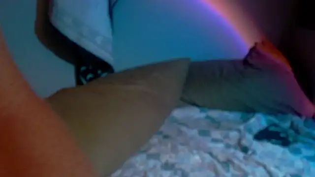 LintLiqour webcam