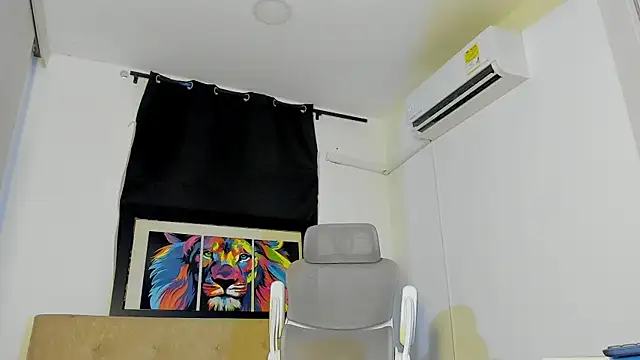 JoshuaLyon webcam