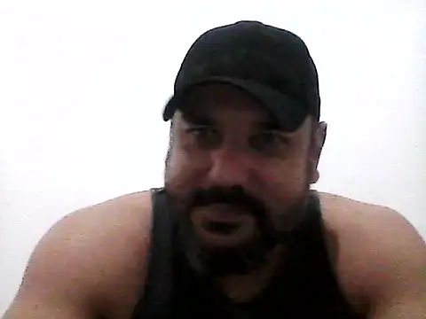 stallony webcam