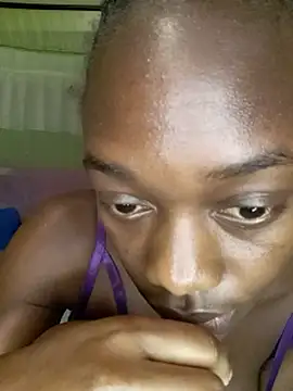 Paulahaze webcam