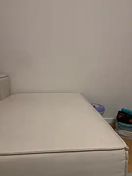 VenClea webcam