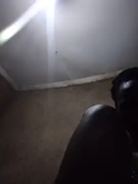 cute_jasmin webcam