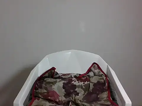 Bouncybooby webcam