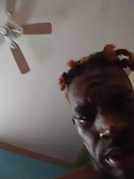 ReallyReallyReal webcam