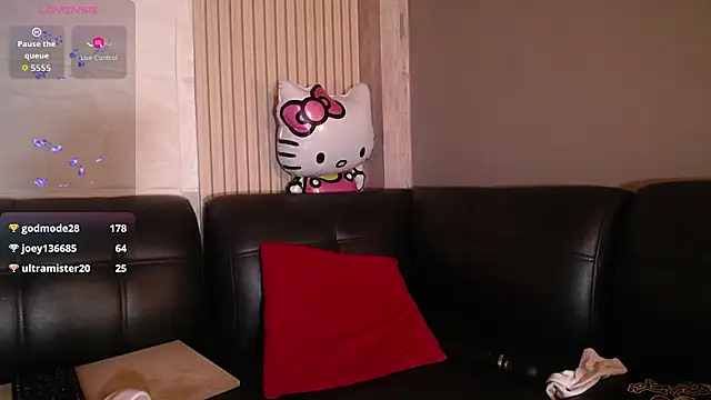 kittyhouse_hs webcam