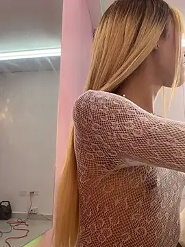 Nikol-hilton webcam