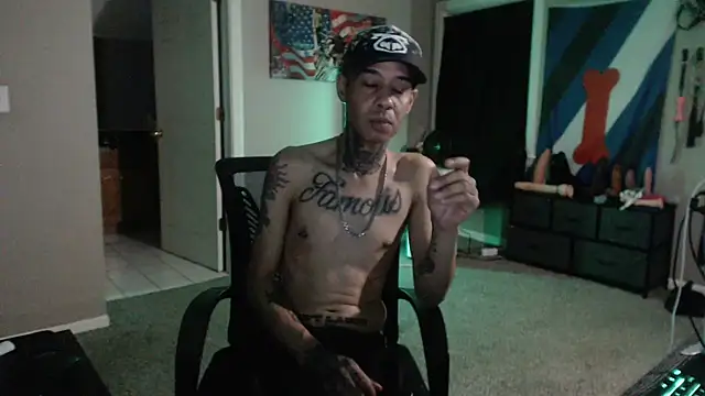 Michigan9000 webcam
