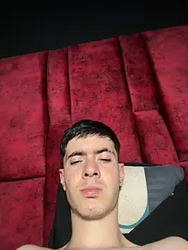 Maison_Laurent_x webcam