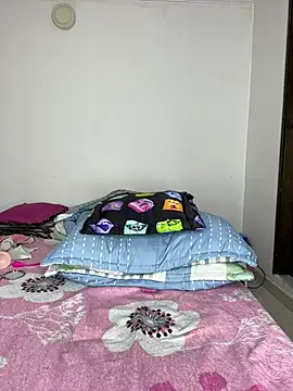 sandylau webcam