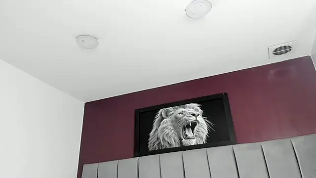 Alondra_zaaens