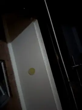 Sasha-firee webcam