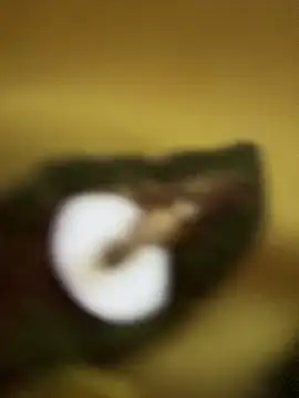 Nana-19 live cam on StripChat