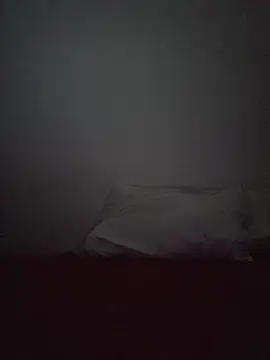 altinya webcam