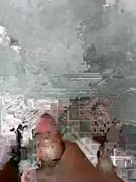 baedes345 webcam