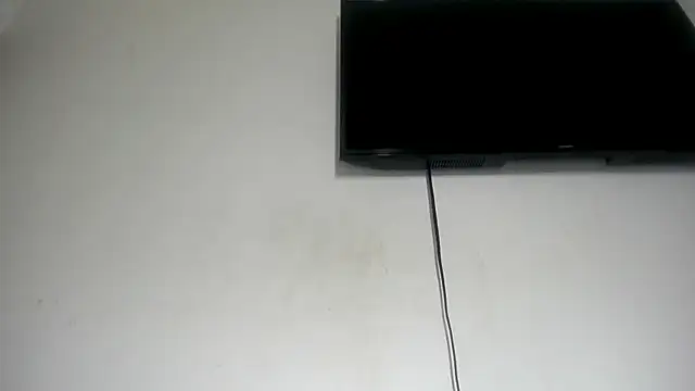 Fox_Loves