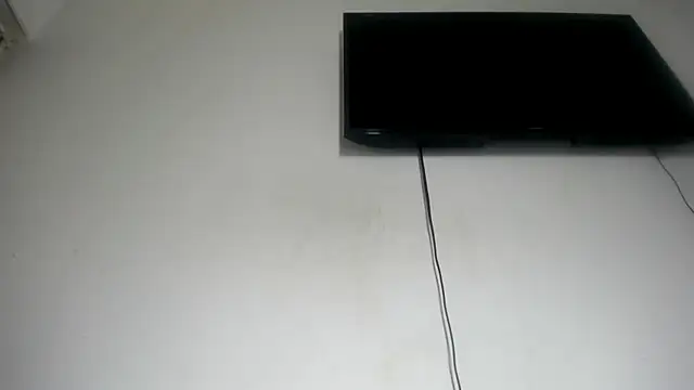 live free chat Fox Loves