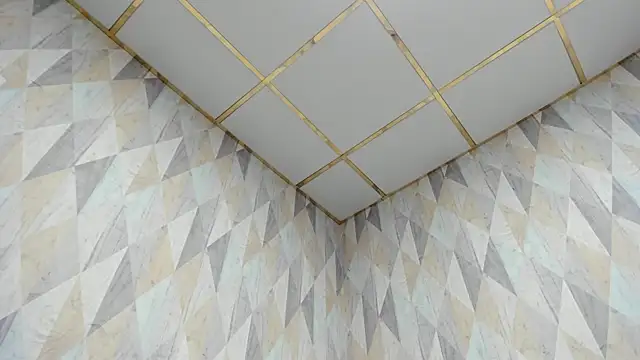 Megan_Violer webcam