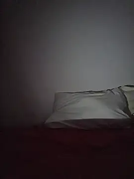 altinya webcam