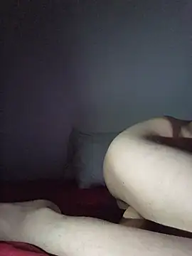 altinya webcam