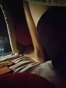 -Tara-a webcam