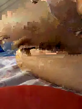 -Tara-a webcam