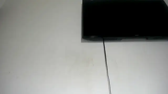 Fox_Loves webcam