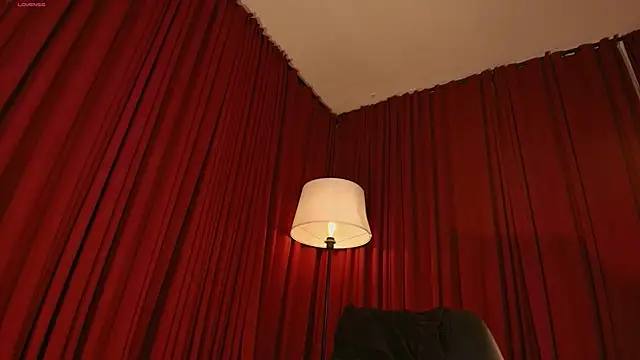Alice-blaker webcam