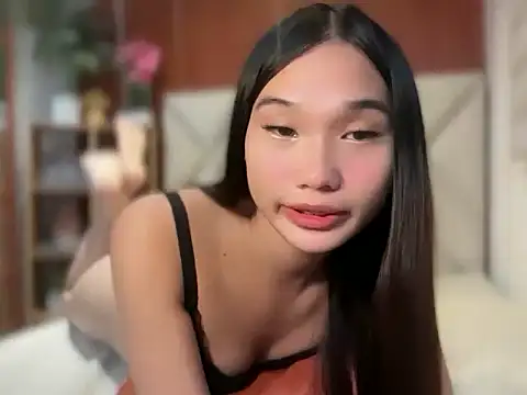 universal_cutie webcam