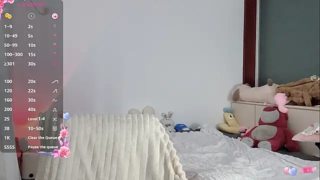 _flipped_ webcam