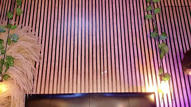 Hiddenhotcake webcam