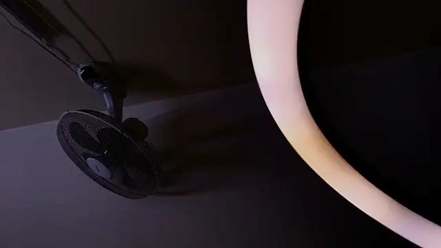 _Ninaharpper webcam