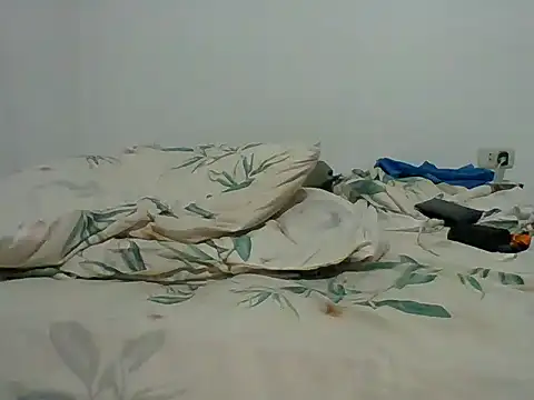 Franklin_Vikingo420 webcam
