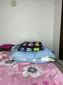 sandylau webcam