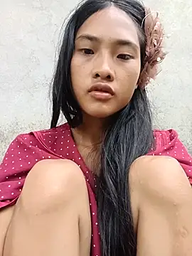 Hoa-tuylip webcam