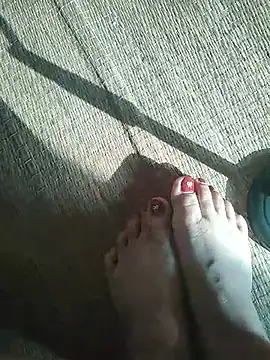 -Tara-a webcam