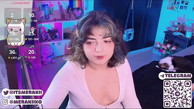 meraki_fraise webcam