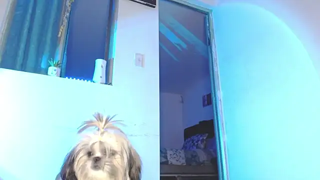 giuliana_andrade webcam