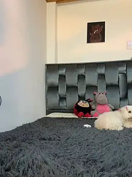 Dafne_se webcam
