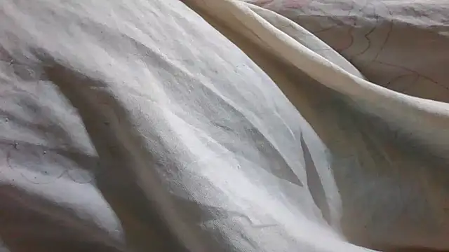 Cozybear webcam