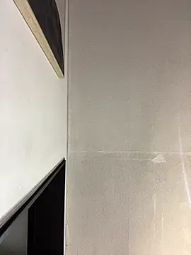AdaPink_ webcam