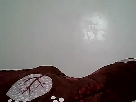 sexyAssVivian_ webcam
