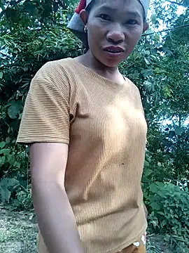 Dian-9 webcam