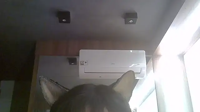 SkinnyKitten webcam
