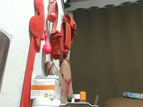 30cmHORSECOCKSELFSUCKER webcam