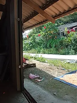 aiai220 webcam