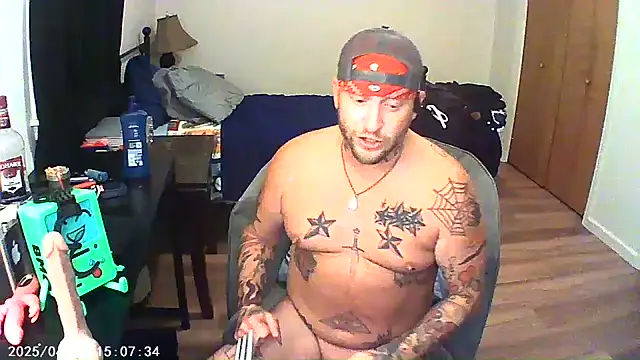 Livingpuddle webcam