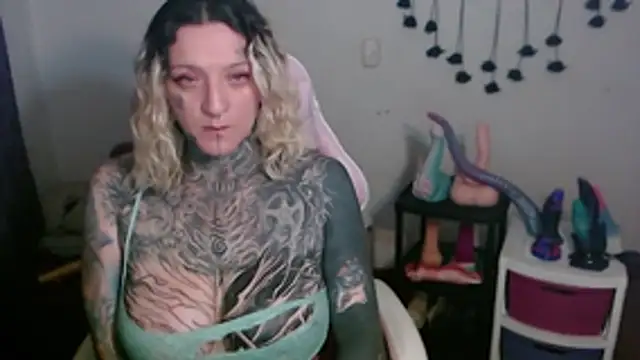 SLOPPYTITSS webcam