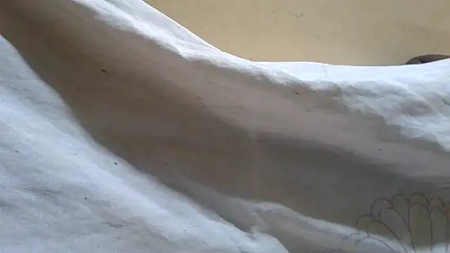 Cozybear webcam